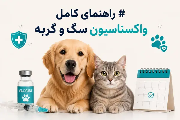 راهنمای کامل واکسیناسیون سگ و گربه